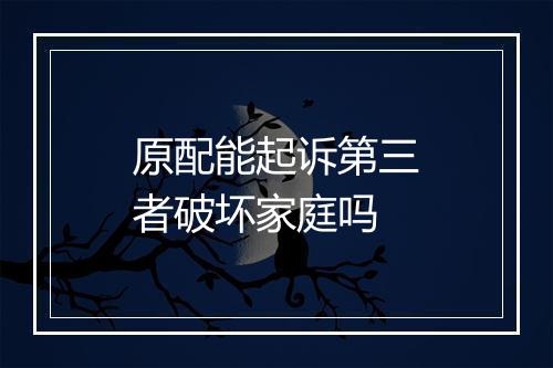 原配能起诉第三者破坏家庭吗