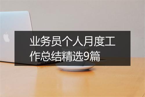 业务员个人月度工作总结精选9篇