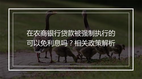 在农商银行贷款被强制执行的可以免利息吗？相关政策解析