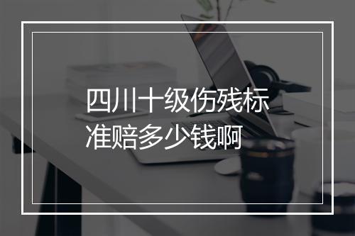 四川十级伤残标准赔多少钱啊