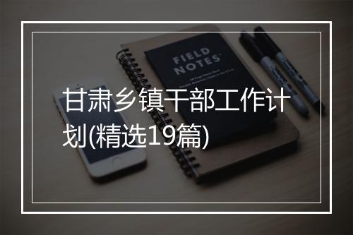 甘肃乡镇干部工作计划(精选19篇)