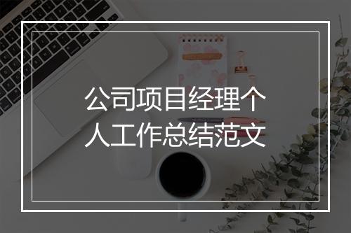 公司项目经理个人工作总结范文