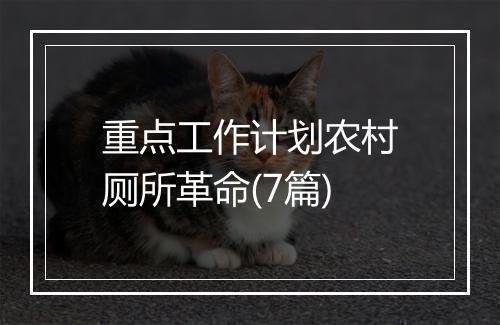 重点工作计划农村厕所革命(7篇)