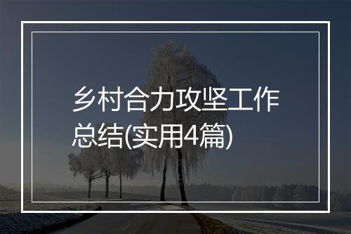 乡村合力攻坚工作总结(实用4篇)