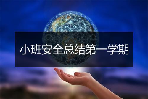 小班安全总结第一学期