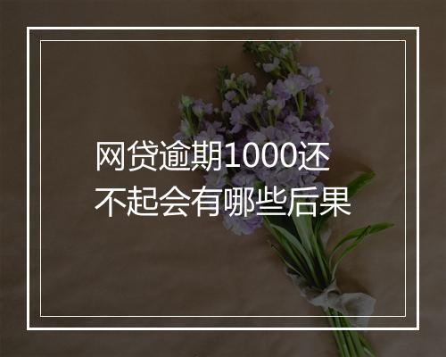 网贷逾期1000还不起会有哪些后果
