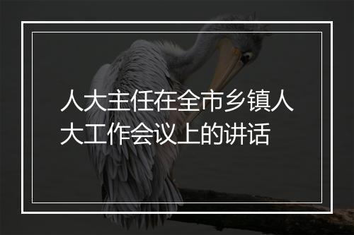 人大主任在全市乡镇人大工作会议上的讲话