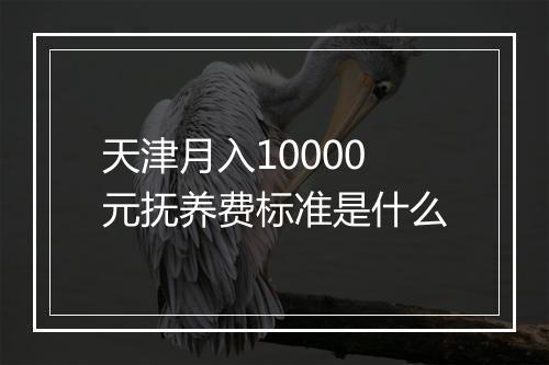 天津月入10000元抚养费标准是什么