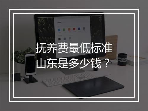 抚养费最低标准山东是多少钱？