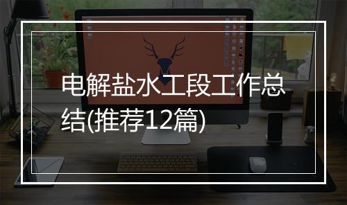 电解盐水工段工作总结(推荐12篇)