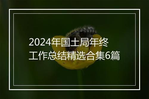 2024年国土局年终工作总结精选合集6篇
