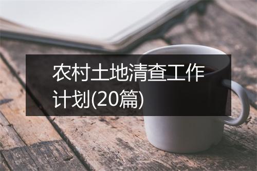 农村土地清查工作计划(20篇)