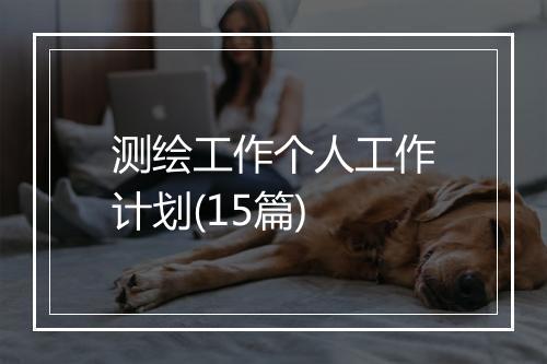 测绘工作个人工作计划(15篇)