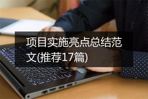项目实施亮点总结范文(推荐17篇)