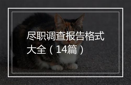 尽职调查报告格式大全（14篇）