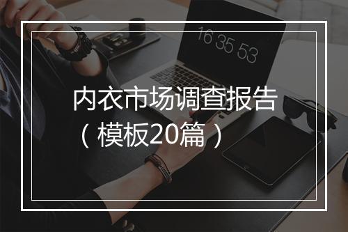 内衣市场调查报告（模板20篇）