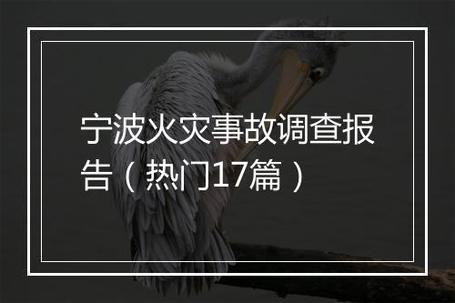 宁波火灾事故调查报告（热门17篇）