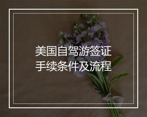 美国自驾游签证手续条件及流程