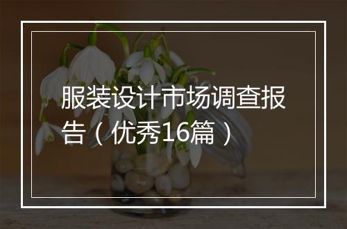 服装设计市场调查报告（优秀16篇）