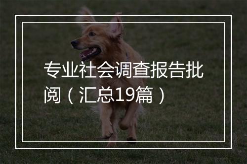 专业社会调查报告批阅（汇总19篇）