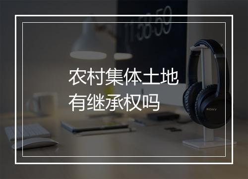 农村集体土地有继承权吗