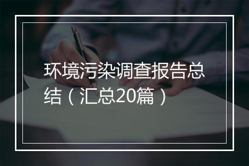 环境污染调查报告总结（汇总20篇）