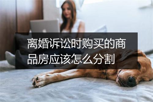离婚诉讼时购买的商品房应该怎么分割
