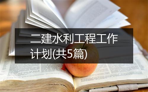二建水利工程工作计划(共5篇)