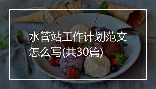 水管站工作计划范文怎么写(共30篇)