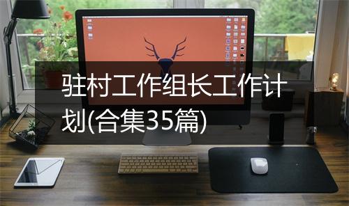 驻村工作组长工作计划(合集35篇)