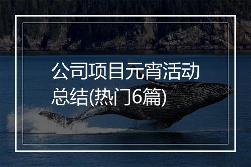 公司项目元宵活动总结(热门6篇)