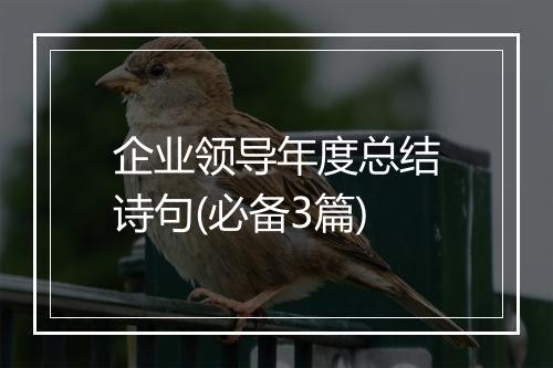 企业领导年度总结诗句(必备3篇)