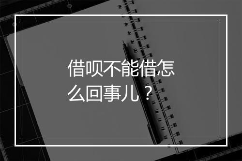 借呗不能借怎么回事儿？