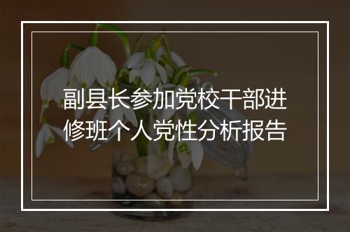 副县长参加党校干部进修班个人党性分析报告