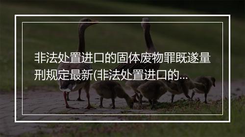 非法处置进口的固体废物罪既遂量刑规定最新(非法处置进口的固体废物罪是结果犯)