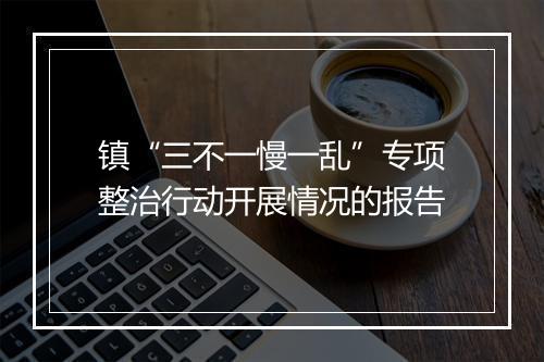 镇“三不一慢一乱”专项整治行动开展情况的报告