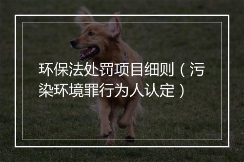 环保法处罚项目细则（污染环境罪行为人认定）