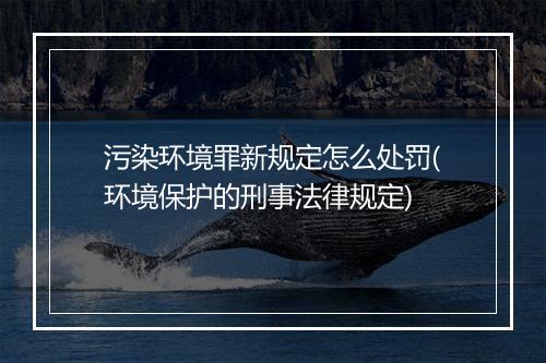 污染环境罪新规定怎么处罚(环境保护的刑事法律规定)