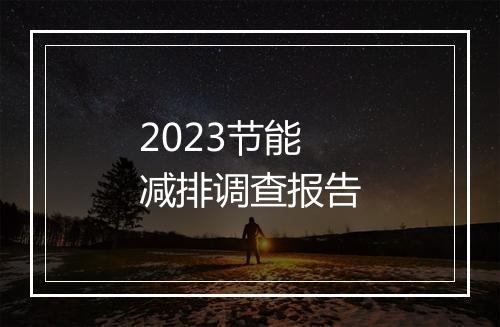 2023节能减排调查报告