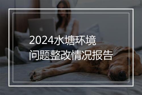 2024水塘环境问题整改情况报告