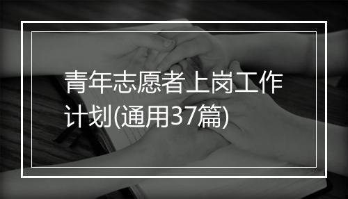 青年志愿者上岗工作计划(通用37篇)