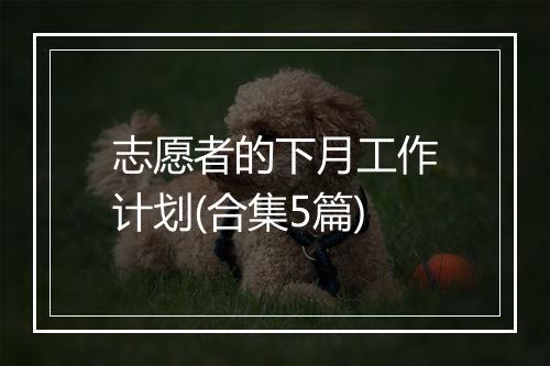 志愿者的下月工作计划(合集5篇)