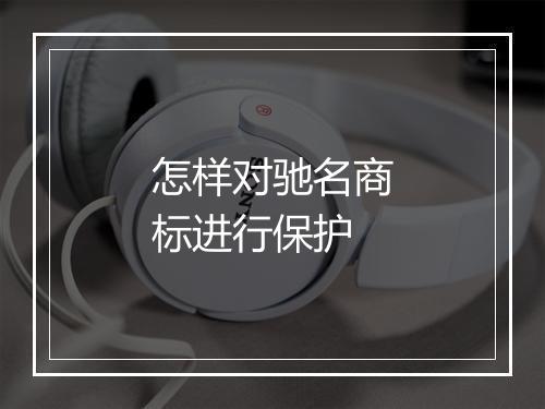 怎样对驰名商标进行保护
