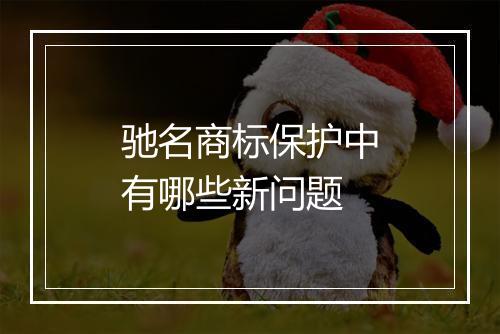 驰名商标保护中有哪些新问题
