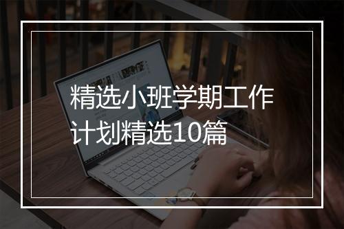 精选小班学期工作计划精选10篇