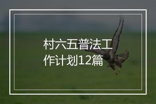 村六五普法工作计划12篇