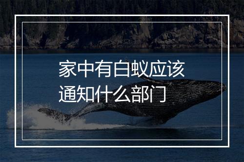 家中有白蚁应该通知什么部门