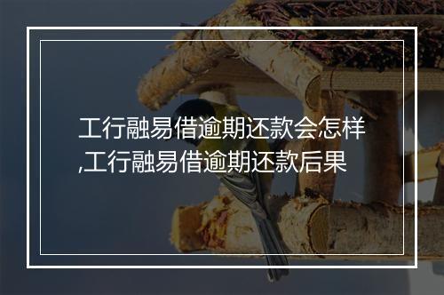 工行融易借逾期还款会怎样,工行融易借逾期还款后果