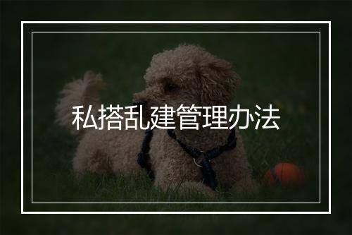 私搭乱建管理办法