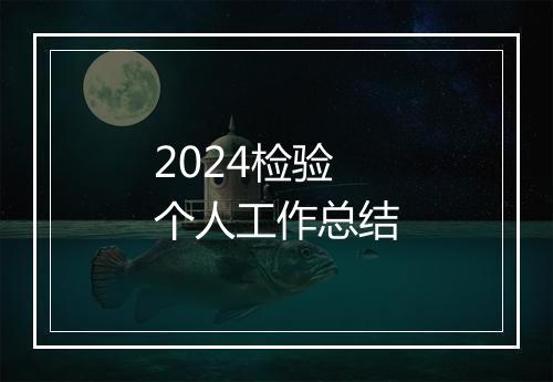 2024检验个人工作总结